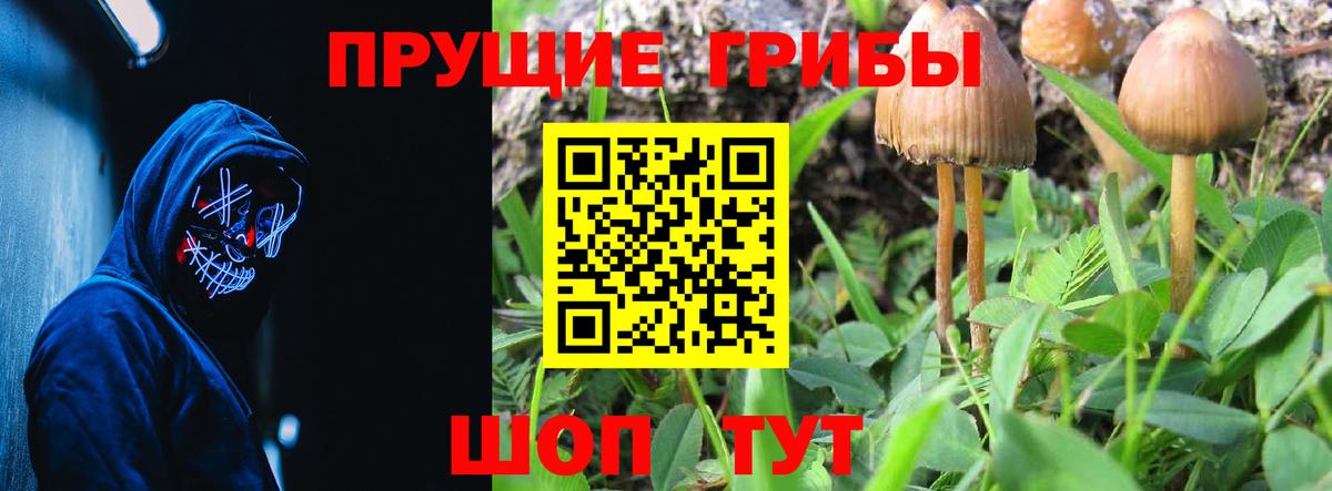 наркотики  Псилоцибиновые грибы Psilocybe  Холмск  Вход с VPN  Псилоцибиновые грибы Psilocybine cubensis 